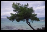 Sithonia -28-09-2017 - Bogdan Balaban